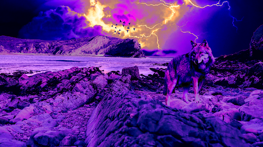 JesseSpuzakKerr's profile picture. 