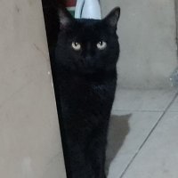 brnarnez (@briannaarnez) Twitter profile photo