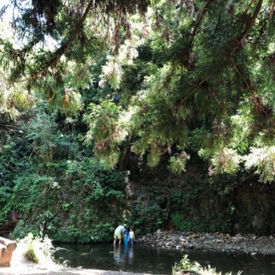 mataro23160076's profile picture. 