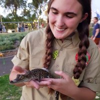 Tamika Nash-Hahn (@nashhahn_tamika) 's Twitter Profile Photo