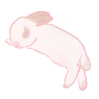 あめ (@amenamida) 's Twitter Profile Photo あめ (@amenamida) 's Twitter Profile Photo