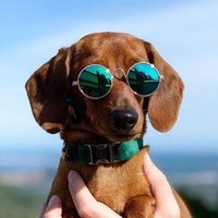 Broke (@rkrahmat4) Twitter profile photo