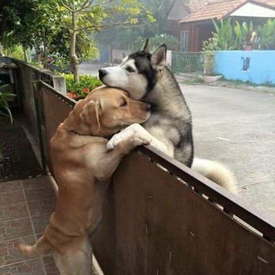 dintweetz's profile picture. I need what I demand, not just whatever comes my way! ✌