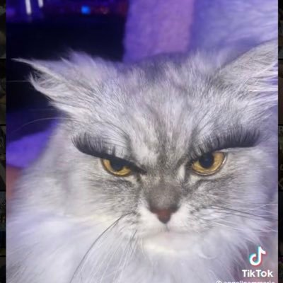 Alyssaishot's profile picture. pretty gay but also like a little straight | opinions are my own | she/her