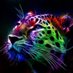 MUSTAFA SALAH (@mustafa51244468) Twitter profile photo MUSTAFA SALAH (@mustafa51244468) Twitter profile photo