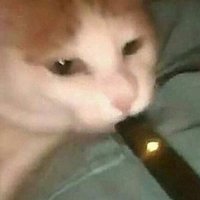 laura (@atomicdrama) 's Twitter Profile Photo