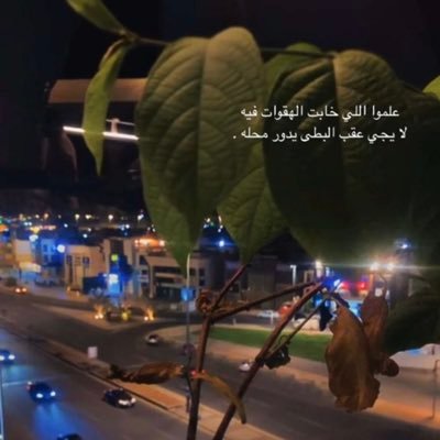 meema_buk's profile picture. مالله خلقني للمخاليق تباع
ولا أشرب الشربه وغيري سكبها