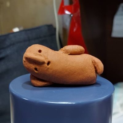 secondstage005's profile picture. 我輩はsecondstage☆(セカンドステージ)の釣り未経験スタッフである。釣りガールではない。