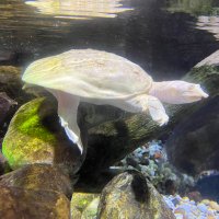 L♡vE nAtuRe (@cripsyloh) 's Twitter Profile