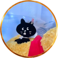 くまさん(遅返ฅʕ •ﻌ•♪ (@yellowphoow) 's Twitter Profile Photo くまさん(遅返ฅʕ •ﻌ•♪ (@yellowphoow) 's Twitter Profile Photo