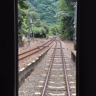 ScarletOharaSho's profile picture. 花が🌸美しい。月も🌙美しい。　それに気づく心が💖美しい。
介護福祉士。一般旅行業務取扱主任者。Ｃ級インディアカ公認審判員