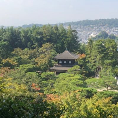 ただの大学生です。過去2回の国政選挙は国民民主党に投票しました。そんなに頭良くないです。