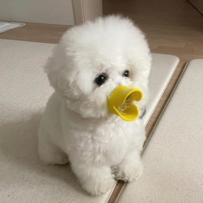 exoxocy1127_'s profile picture. 구독계입니다.