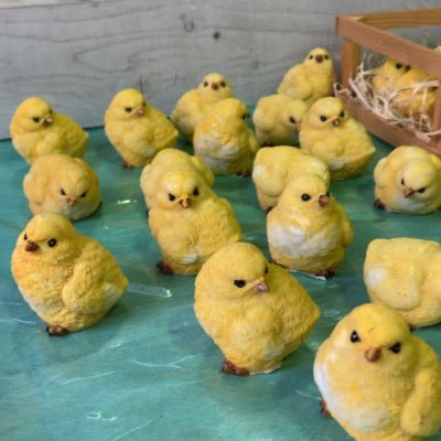 ひよこ饅頭さんのプロフィール画像