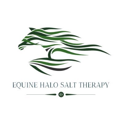 Equine Halo Therapy allows horses to experience the amazing results that humans have benefited from Salt Therapy for centuries!