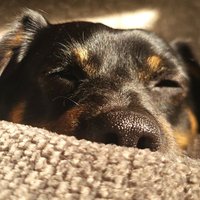 Tobey B. (@tobey_2006) 's Twitter Profile