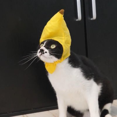 Gaming and stuff