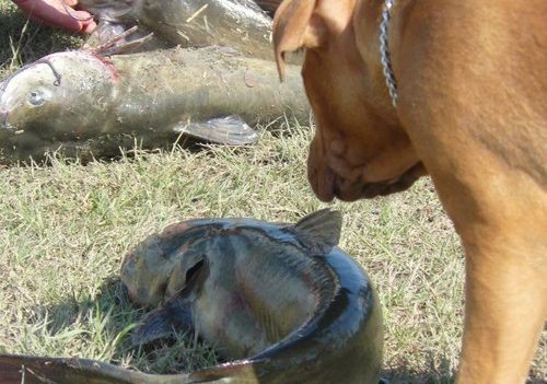 KatyComal's profile picture. 