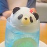 booklog_myself's profile picture. 読書垢📚歴史小説が好きですが雑多に読みます。 好きなもの→読書/短歌 / 美術館 / お散歩 / インク 本が多すぎて片付きません（整理記録→#n日後にお部屋が片付くぱんだ）