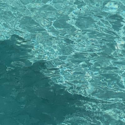 doommajadadoom1's profile picture. 