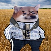 Tata Kazika (@bonk_ergo_sum) 's Twitter Profile