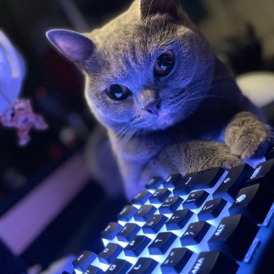 ( ᐛ )やほー