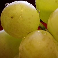 j204862 (@204862) 's Twitter Profile Photo