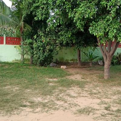 SSharma08200222's profile picture. Education department