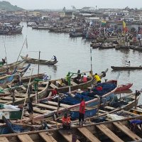 Fisheries Commission GH. (@fisheriescomm) 's Twitter Profile