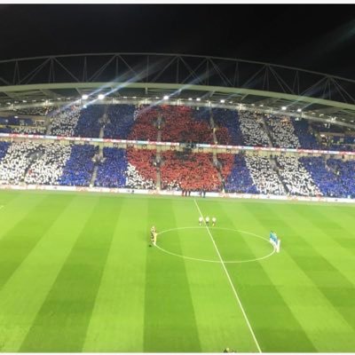 Albion Season Ticket Holder, North Stand.