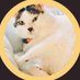 あーりーねこ (@alleycat0625jp) Twitter profile photo あーりーねこ (@alleycat0625jp) Twitter profile photo