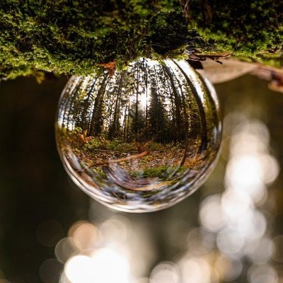 slaviskiersteng's profile picture. 