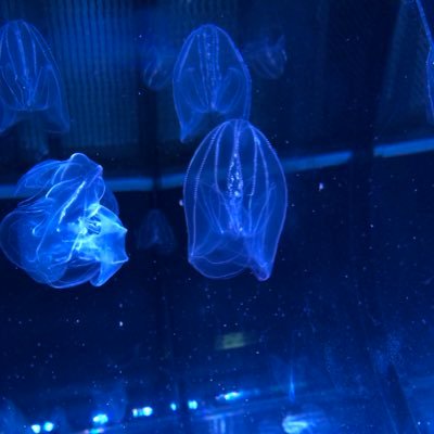 red79878297's profile picture. 今年で31 愛知