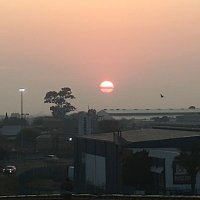Sgilamkhuba (@sgilamkhub) 's Twitter Profile