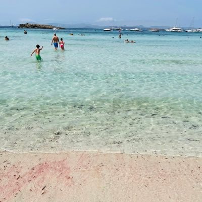 newmrsshephard1's profile picture. 