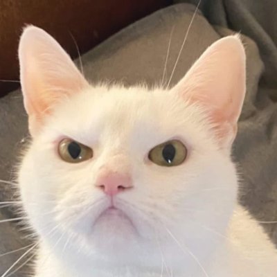 OneEyeCat13 Profile Picture