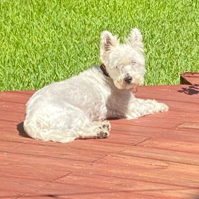 michaelbondx's profile picture. 