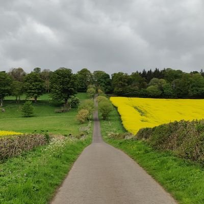 JaviPeich's profile picture. Tech for Zen Living | AI tools for mental health & productivity | Latest: How Predictive Stress Analytics Can Transform Your Wellbeing 👉 https://t.co/FddmLR5Qlc