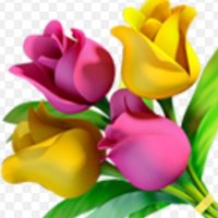 純ジャパJKの純ジャパ母 (@junjapamam) 's Twitter Profile