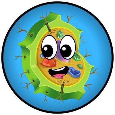 @MsCiencia2