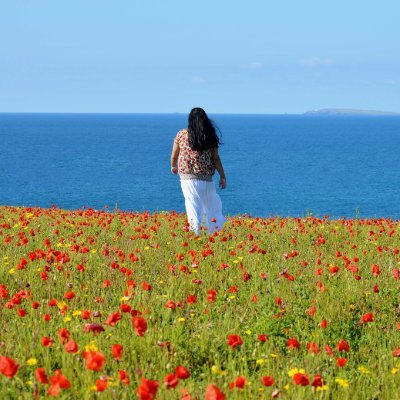 🌎 Nature & Wildlife Enthusiast
🍀 Ecologist & Environmentalist
🦋 Butterfly-Watcher
🦅 Bird-Watcher
🌺 Dentist
🌻 Author
#ConnectWithNature
#Cornwall #UK