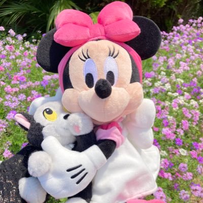 HAL_mn_D's profile picture. 雑多枠/ファンダフル/99Line/ショーパレ/ミニーちゃん/ミニーちゃん/ミニーちゃん/en👟👹🦁🦊🖋jp🍵🔑🐍/👟のみメンシ済/LUXIEM5ever/20↑