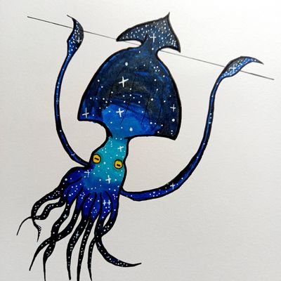 ほしイカ-マイ生物投稿さんのプロフィール画像