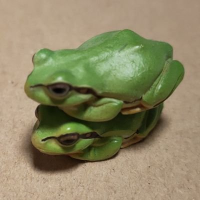 蛙二号さんのプロフィール画像