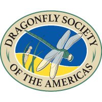 Dragonfly Society of the Americas(@OdonataAmericas) 's Twitter Profile Photo