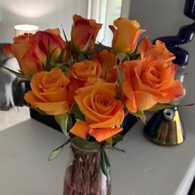 Alexa_bby06's profile picture. Honest