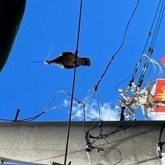 7mindgrowth's profile picture. 自分の情報整理能力を高めるために、日々の趣味から経済など多岐の種類に渡って、新しいニュースなどを自分の言葉にして投稿します！