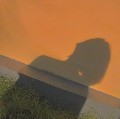 vvndhrhy's profile picture. ig : vivindhrhy