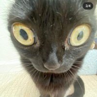 CraketBones (@b_craket) 's Twitter Profile