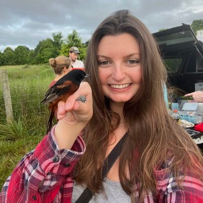 PhD candidate @ VT👩🔬🦢🦃🕊🦩🐓Interested in how the environment influences bird behavior & brain function.💖✨🌻 she/her